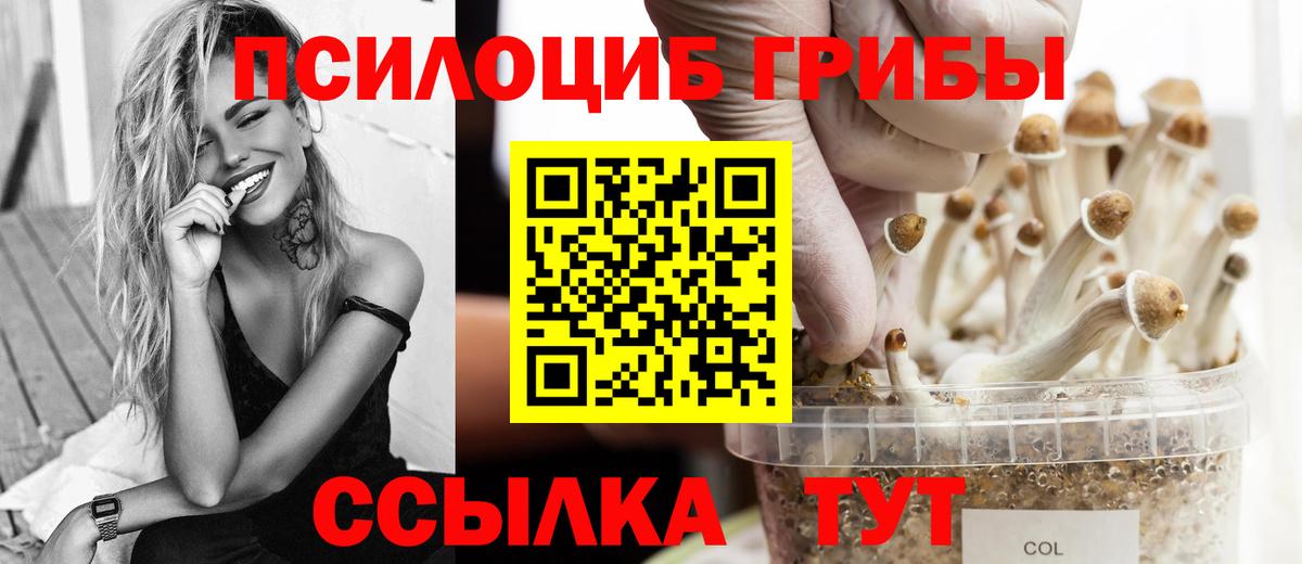 Псилоцибиновые грибы GOLDEN TEACHER Знаменск