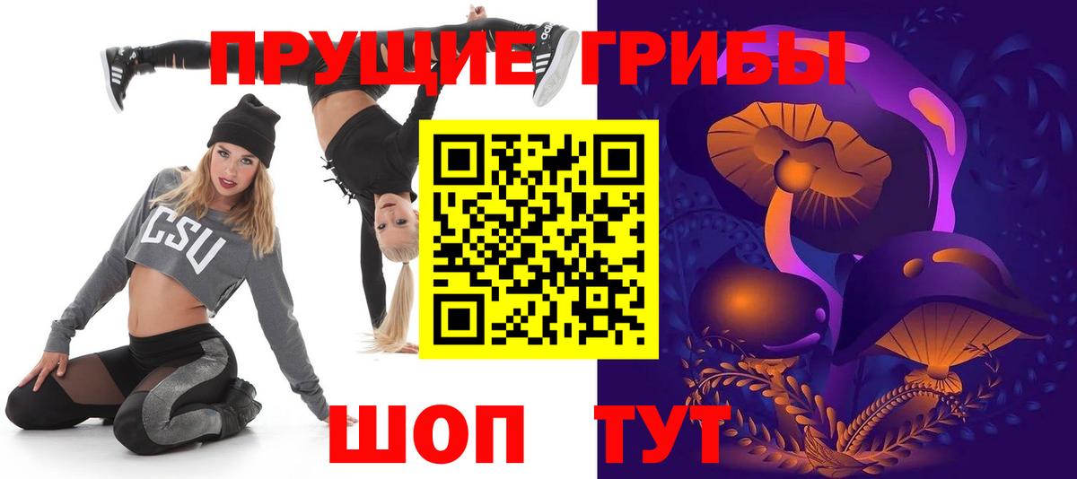 Знаменск  Псилоцибиновые грибы Psilocybe  Вход с VPN 